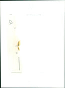 A young woman looks out at the stunning sunrise from a scenic overlook. - Vintage Photograph