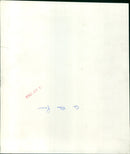 A large crowd gathers at a fair in Damascus, Syria. - Vintage Photograph