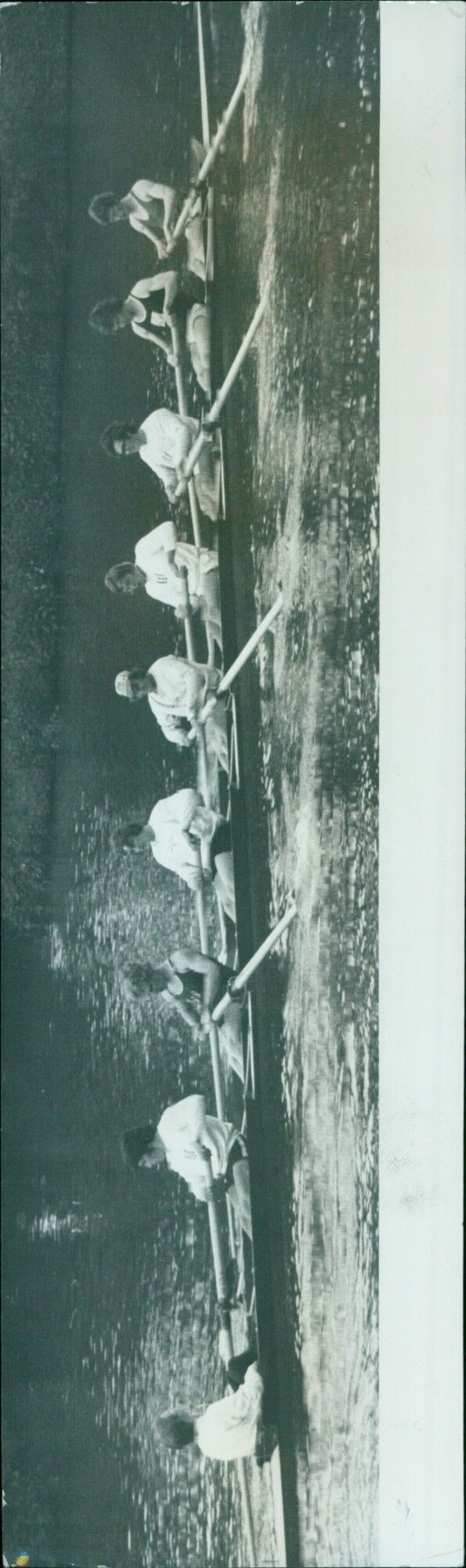 A woman lounging in a Sommer Eight pool on a sunny day. - Vintage Photograph