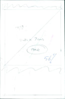 A crowd of people line up to obtain early voting ballots outside of the county courthouse. - Vintage Photograph