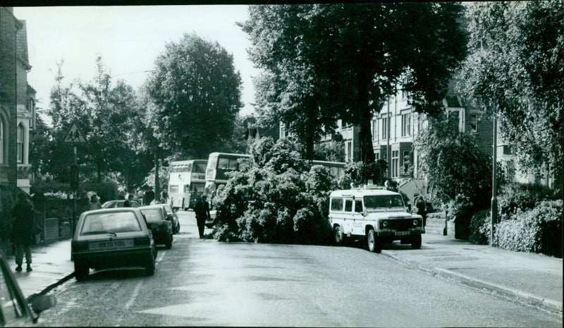 A fallen tree blocks a road in Oxford, UK. - Vintage Photograph