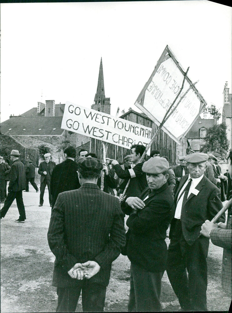 A Dalmatian dog pulls a red chariot across a field with a sign reading "Go West Young Man Go West" in the background. - Vintage Photograph