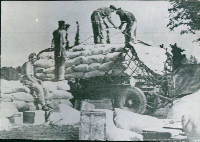 Allied forces deliver supplies to Paris in the wake of liberation, providing much needed food and aid to the city. - Vintage Photograph