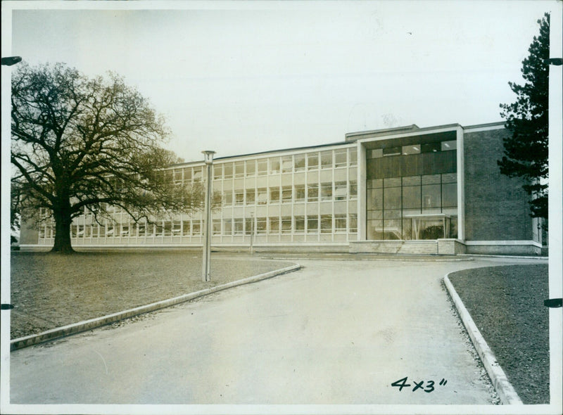 The Forest Lodge site with mature trees planned around it on its opening day. - Vintage Photograph