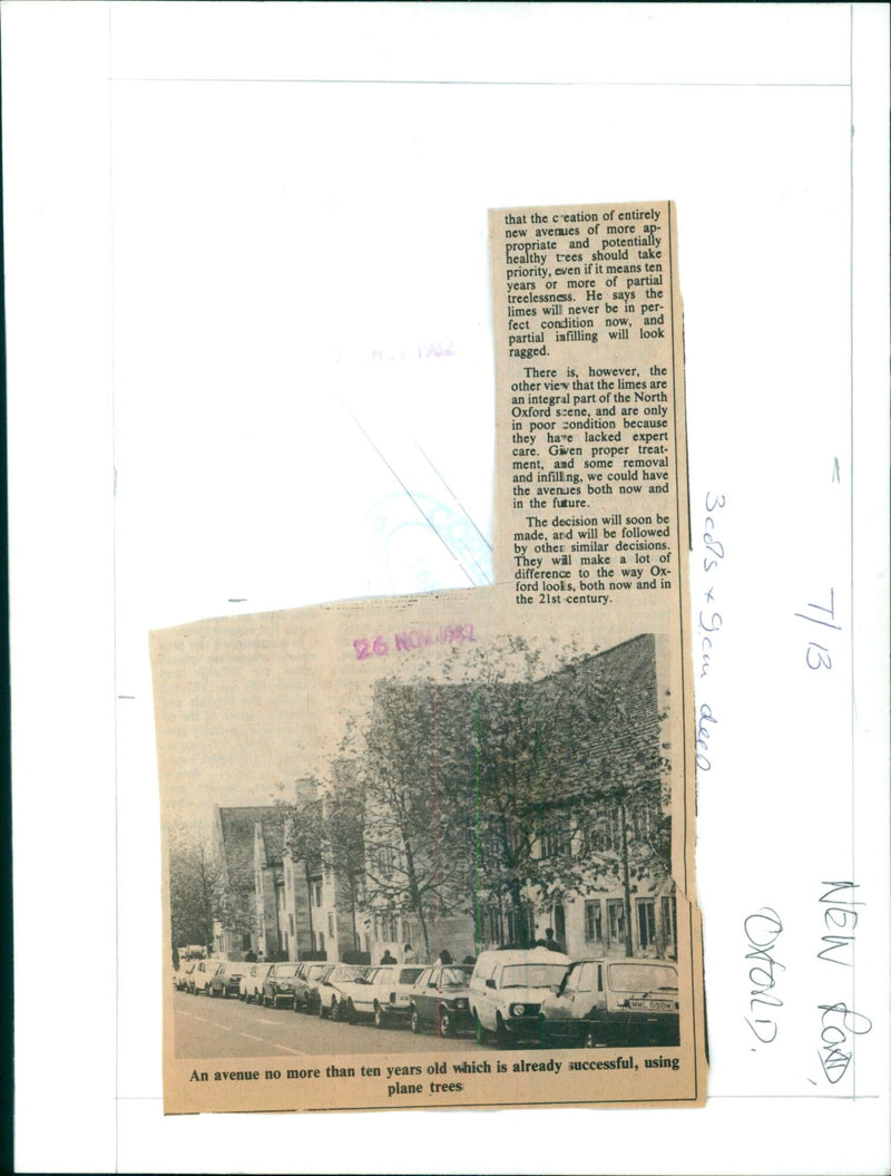 Oxford, England is debating the fate of its plane tree avenues, which are in need of expert care. - Vintage Photograph