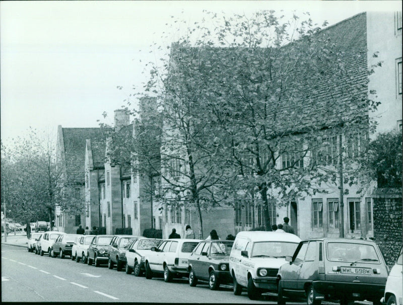 Oxford, England is debating the fate of its plane tree avenues, which are in need of expert care. - Vintage Photograph