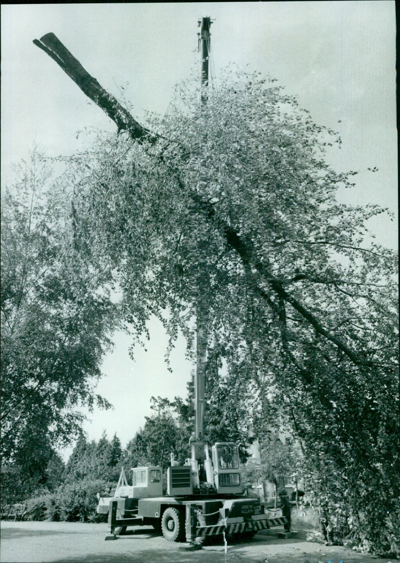 A crane lifts a fallen tree in Oxford, England. - Vintage Photograph