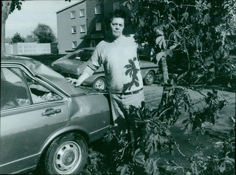 Oxford rush-hour traffic was brought to a standstill after a 50ft tree fell on one of the city's main roads. - Vintage Photograph