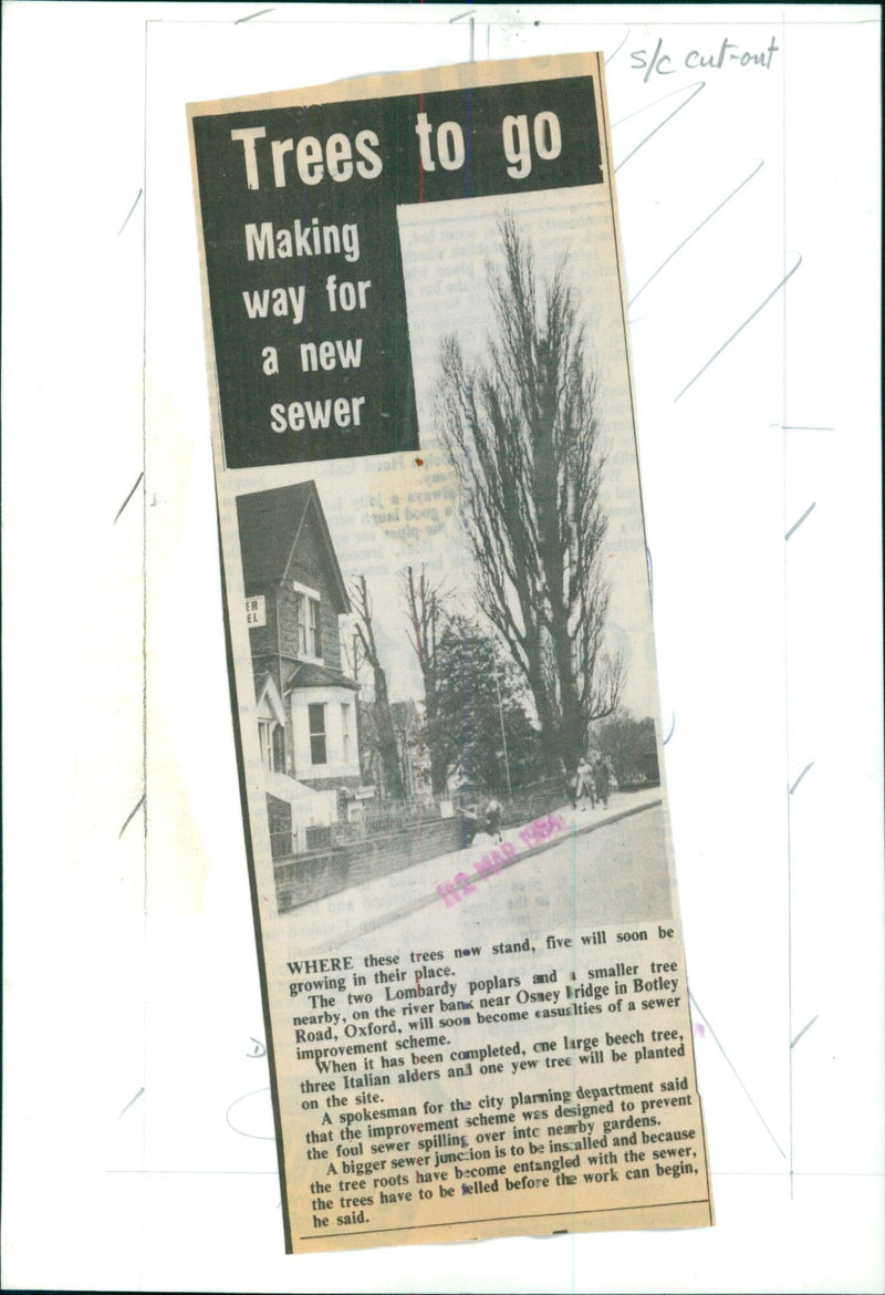 Trees being removed to make way for an improvement scheme at the River Hotel in Oxford. - Vintage Photograph