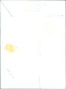 A group of children enjoying a game of tag in a park. - Vintage Photograph