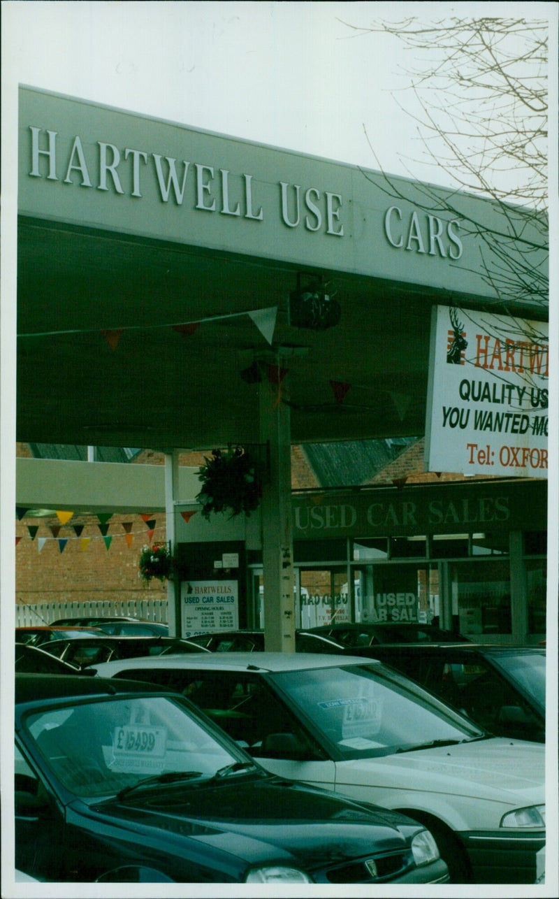 A mistle thrush nests in a used car lot at Hartwell Motors in Botley Road, Oxford. - Vintage Photograph