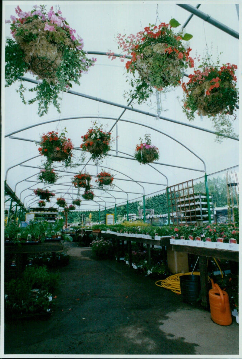 Kennedy's Garden Centre featured in a promotional event at Oxford. - Vintage Photograph