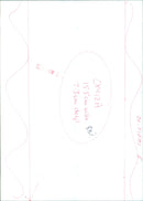 A lion in the Arg Farres Natural Park in Spain. - Vintage Photograph