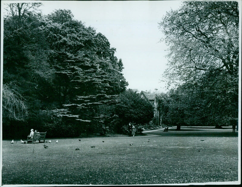 Students enjoy a sunny day walking around Worcester College in Oxford, England. - Vintage Photograph