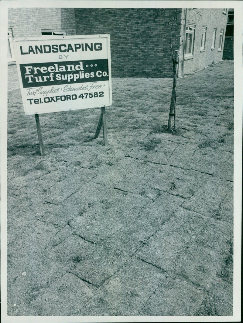 Workers lay new turf at a landscaping site. - Vintage Photograph