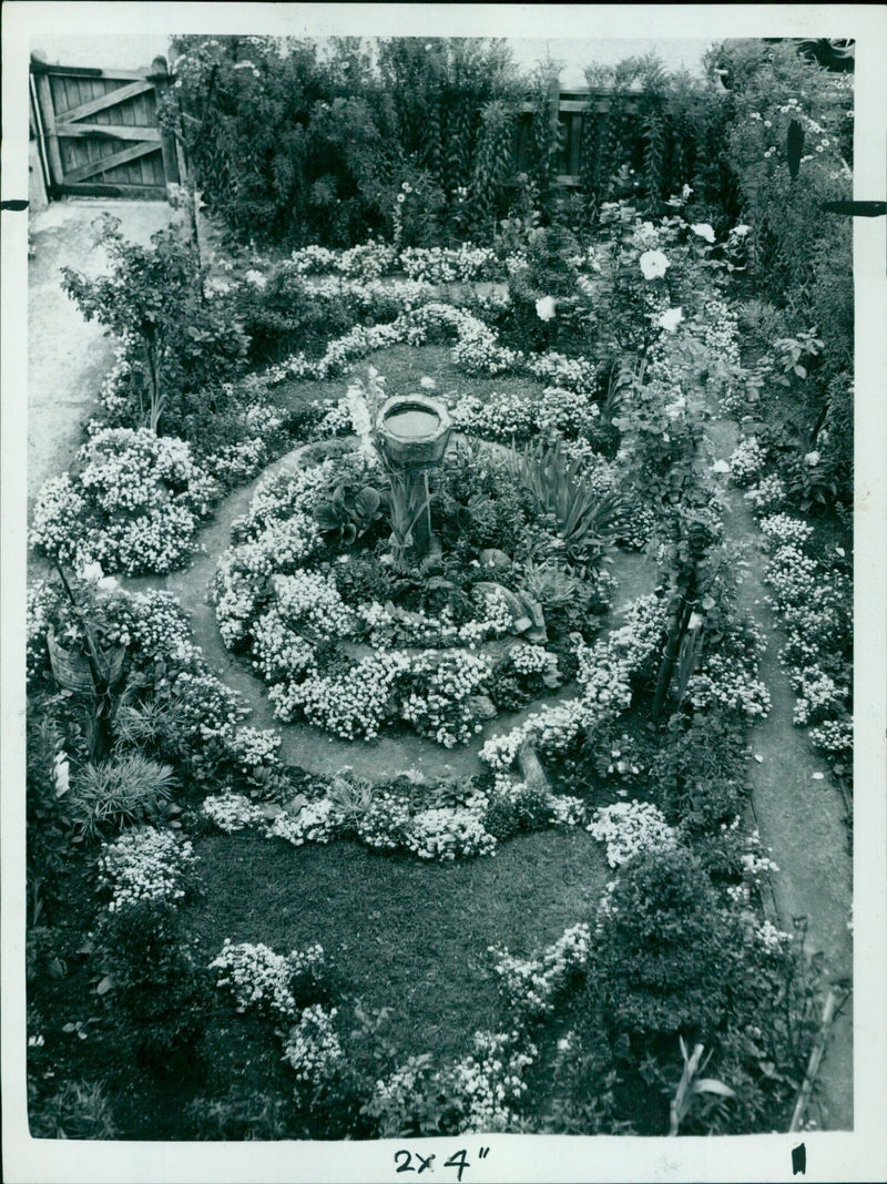 A garden in Headington, Oxfordshire, designed by Mrs. M. F. Lackett, featuring beds in the shape of a shamrock and maple leaf. - Vintage Photograph