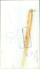 Two residents of S. Homes, England, enjoy a hotdog outside of Budge Cowley Station. - Vintage Photograph