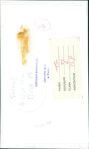 Three gnomes playing music at a garden party. - Vintage Photograph