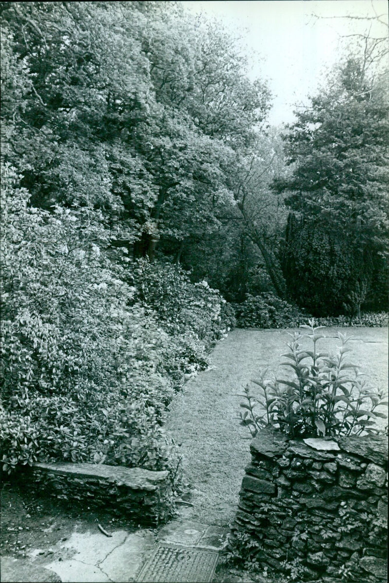 A view of the lush garden at Wood 2861 Croft in Boar's Hill, Oxfordshire. - Vintage Photograph