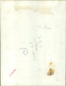 A ferry and a flock of seagulls in the evening light in the Gulf of Thailand. - Vintage Photograph