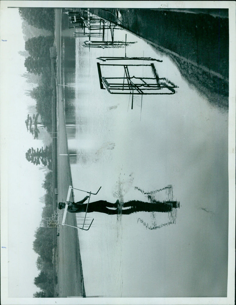 A ferry and a flock of seagulls in the evening light in the Gulf of Thailand. - Vintage Photograph