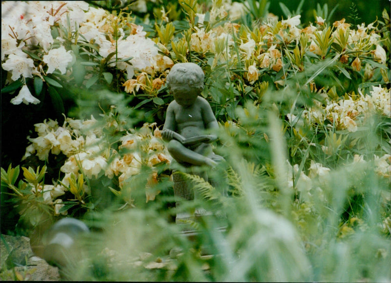 Visitors enjoy the beauty of 24 Abberbury Road's open garden in Iffley. - Vintage Photograph