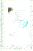 A family walking together on a sunny day. - Vintage Photograph