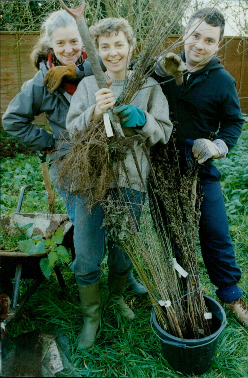 Residents of the Willow Green Community Garden plant shrubs for "urban breathing space" - Vintage Photograph