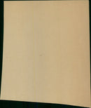 Members of the public gather in a public square to celebrate the signing of a new law. - Vintage Photograph