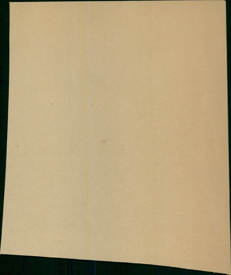 Members of the public gather in a public square to celebrate the signing of a new law. - Vintage Photograph