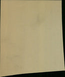 Members of the public gather in a public square to celebrate the signing of a new law. - Vintage Photograph