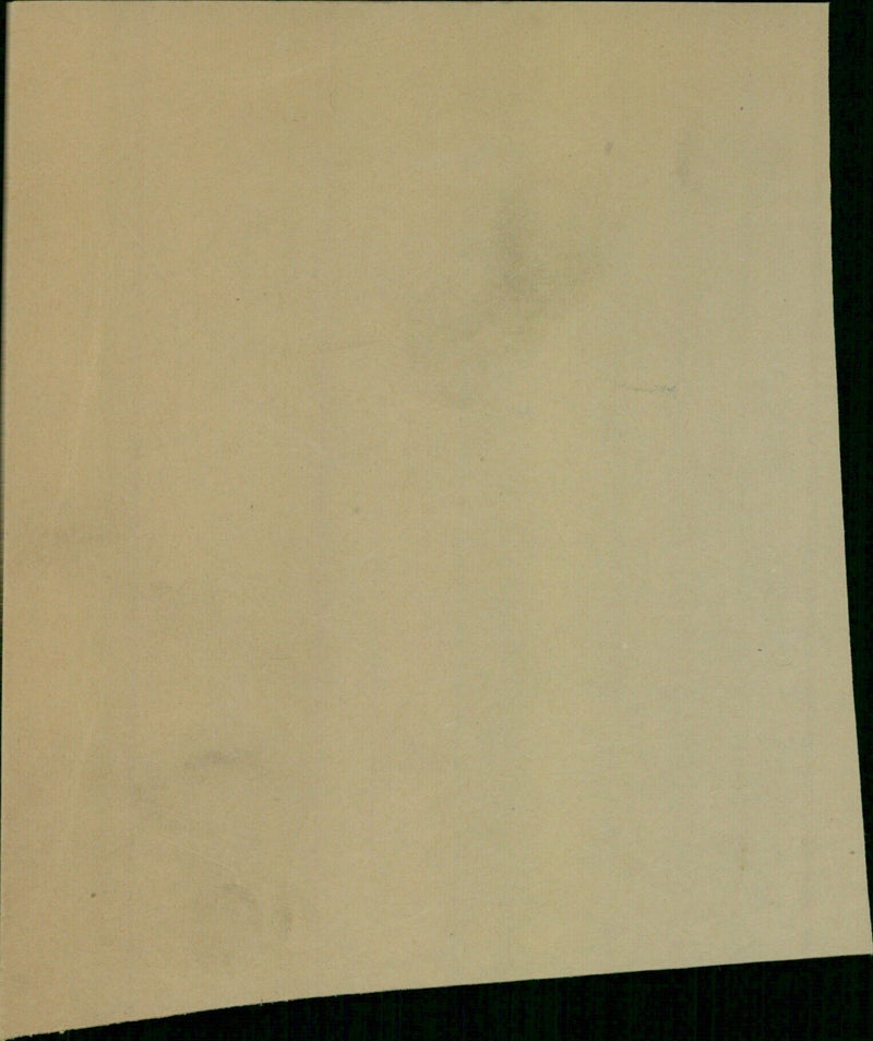 Members of the public gather in a public square to celebrate the signing of a new law. - Vintage Photograph