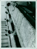 A young woman celebrates winning a pageant. - Vintage Photograph