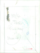 Models pose at a make-up event in Milan. - Vintage Photograph