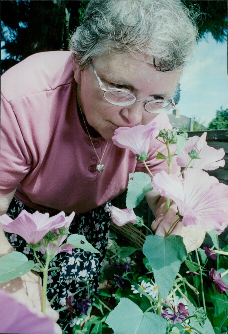 Linda Dashwood with her award-winning garden at Headington. - Vintage Photograph