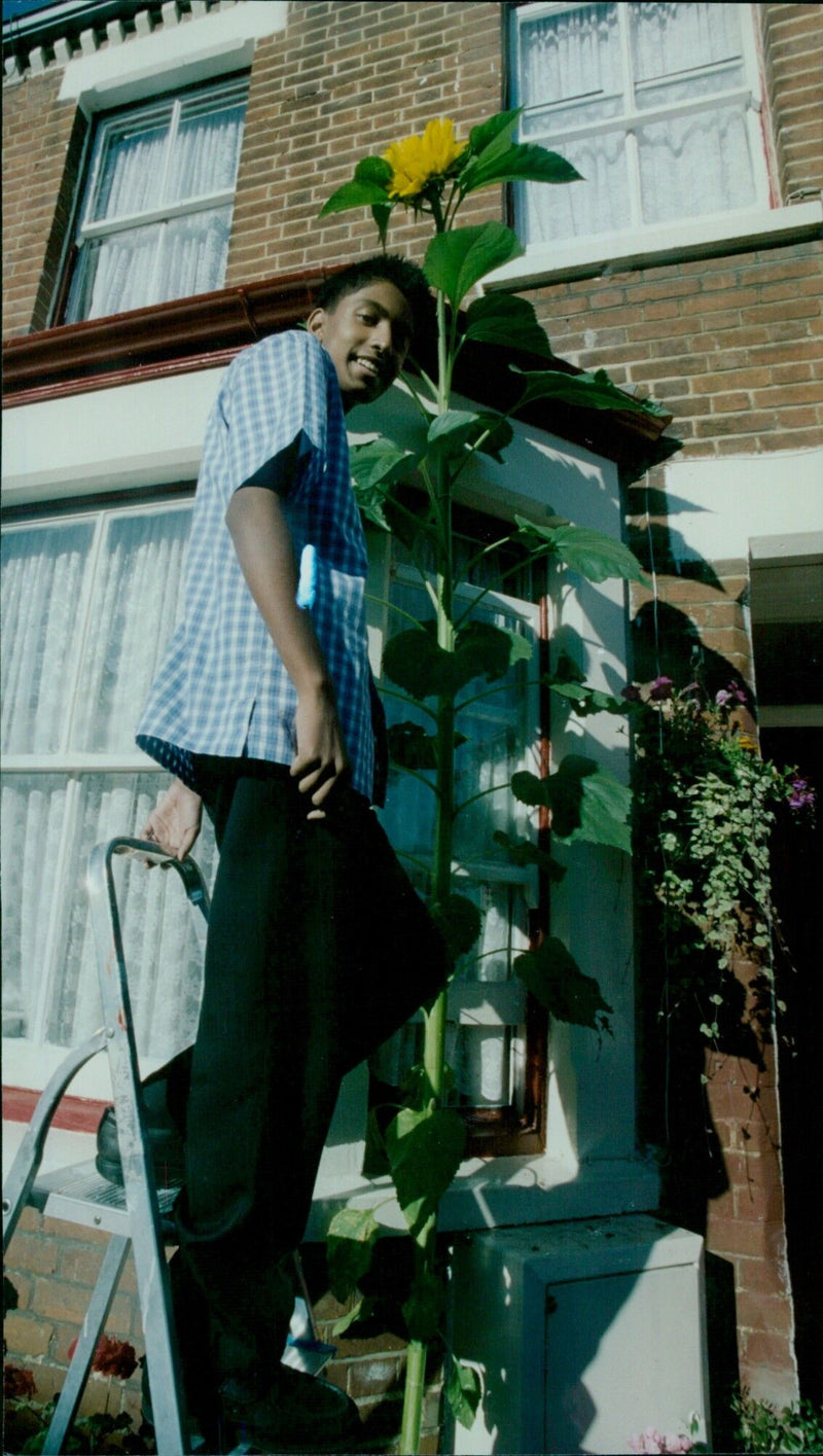 Shemon Kashem, 14, smiles next to a sunflower. - Vintage Photograph