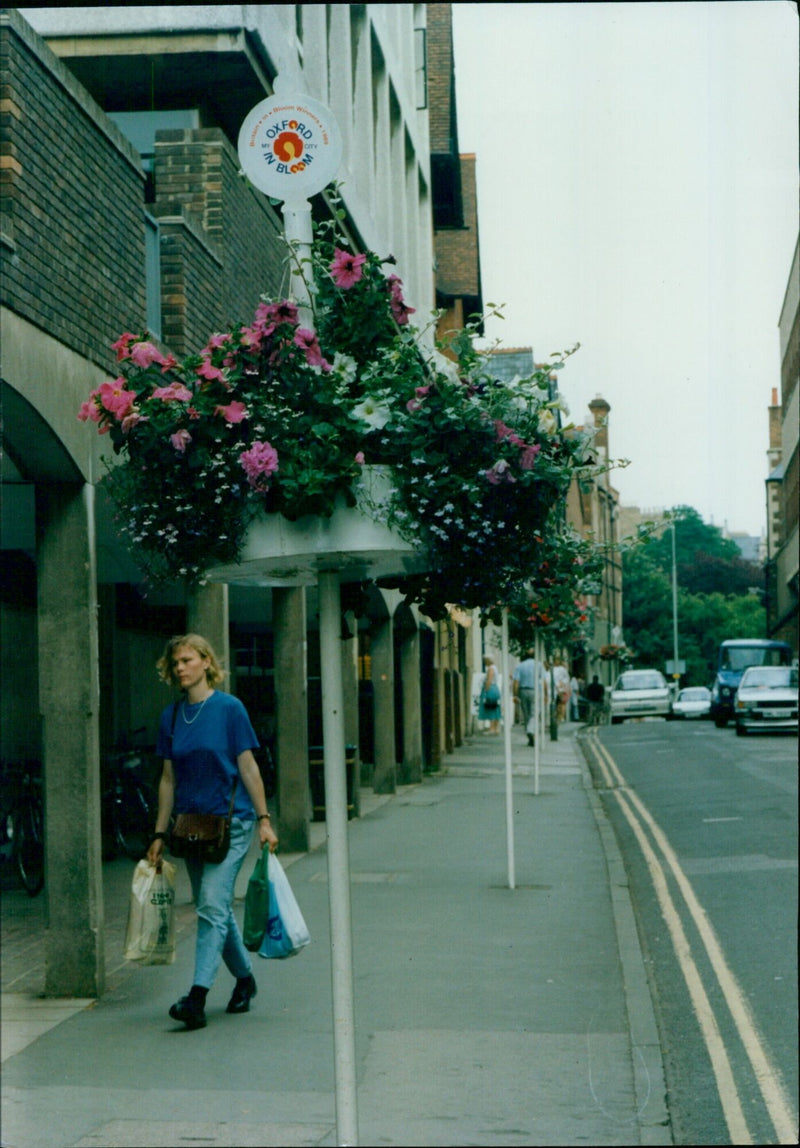 Oxford City Council celebrates the winners of the annual CULLILLLE in Bloom competition. - Vintage Photograph