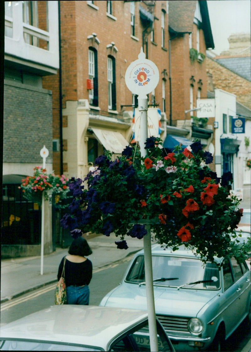 A floral display in Little Claredon Street, Oxford. - Vintage Photograph