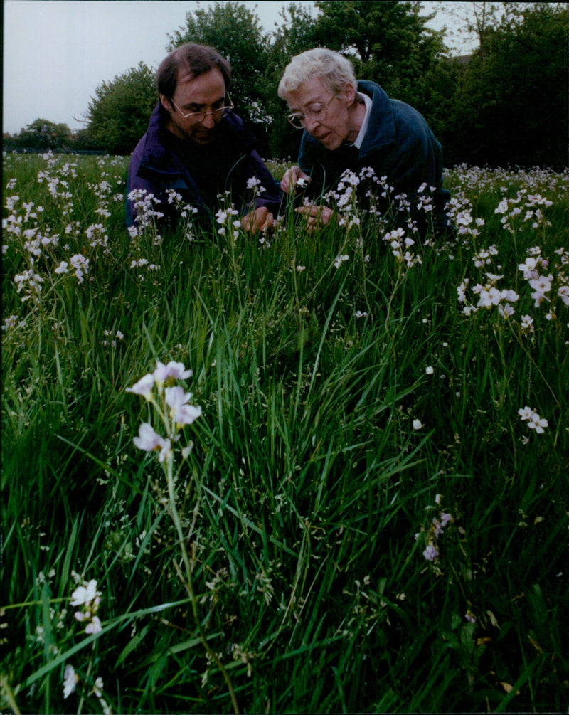 Grace Donnelly, a member of the Rose Hill Community Nature Plan Group, and Oliver de Soissons of the Oxford City Council Parks Division, admiring cuckoo flowers or lady's-smock at the Rose Hill Recreation Ground. - Vintage Photograph