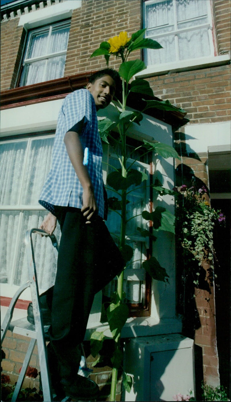 Shemon Kashem poses with a sunflower. - Vintage Photograph