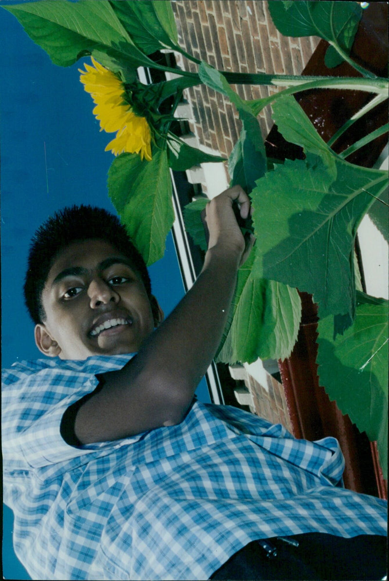 Shemon Kashem, 14, holds a sunflower in Oxford. - Vintage Photograph