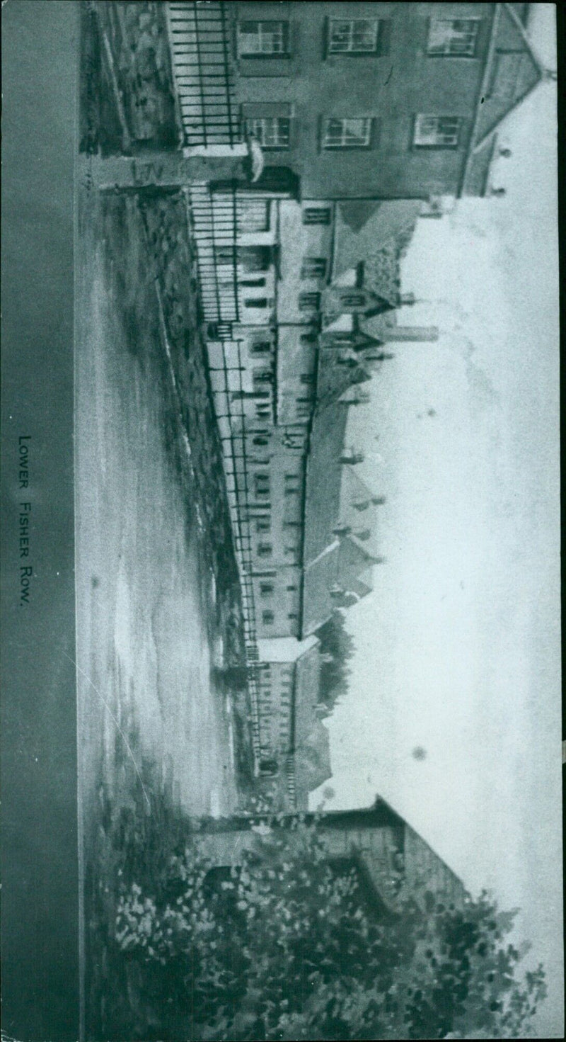 A wild row of lower fishers in Mishiele Ez, Israel. - Vintage Photograph