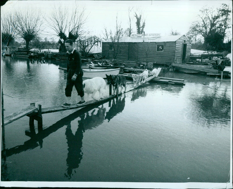 A boat station in Medley, Florida on February 14, 1974. - Vintage Photograph