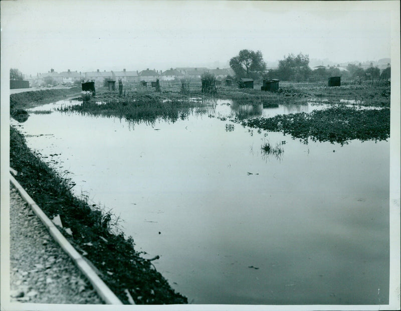 Two people tending to an allotment in Oxford, England. - Vintage Photograph