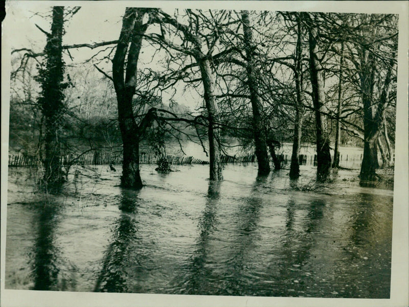 The Cherwell River flowing into Angel Meadow and Magdalen Bridge in Oxford, England. - Vintage Photograph