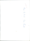 People gather in a park to celebrate the birth of a new prince. - Vintage Photograph