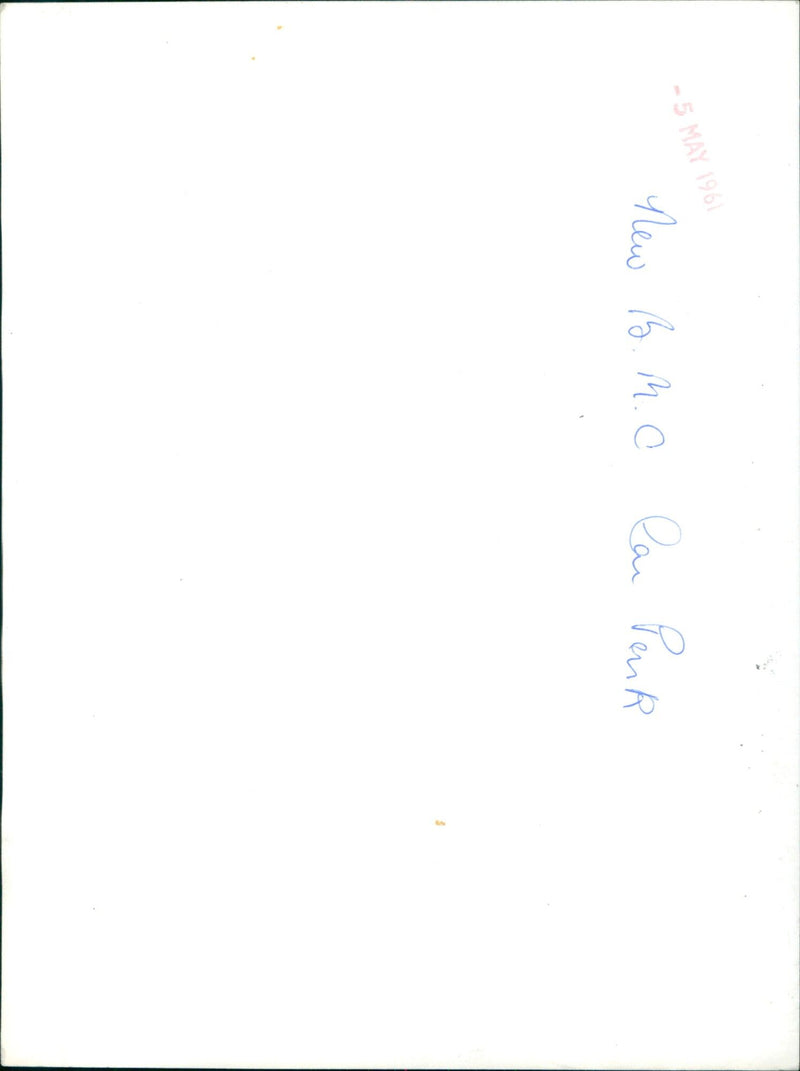 People gather in a park to celebrate the birth of a new prince. - Vintage Photograph