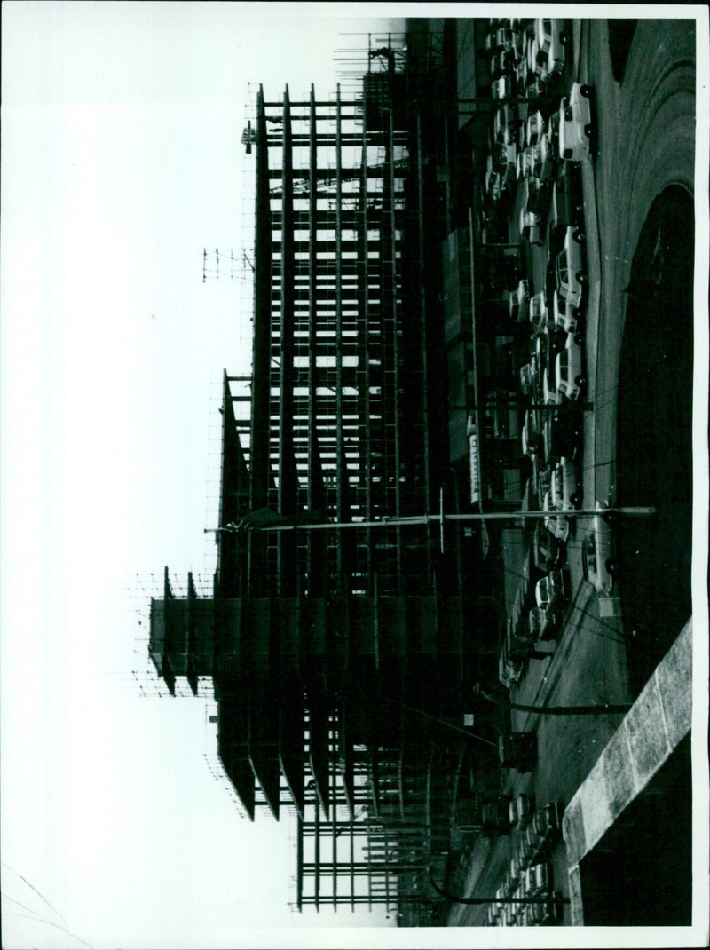 People gather in a park to celebrate the birth of a new prince. - Vintage Photograph