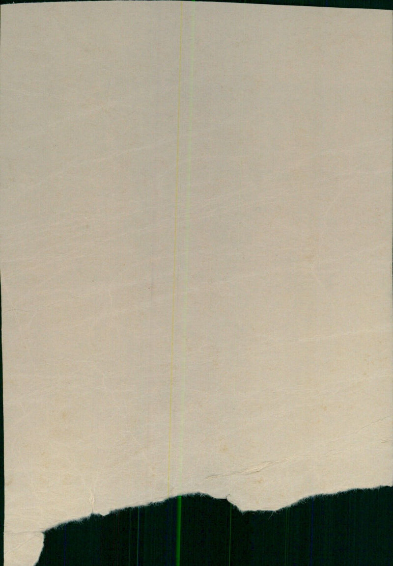 Auctioneers call out bids on a vintage house in the 190s at a public auction in Chicago, Illinois. - Vintage Photograph