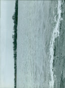 A young girl in Seoul participates in a protest against the military government on February 17, 1990. - Vintage Photograph